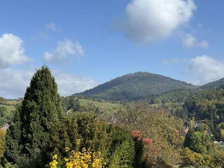 Blick von der Terrasse Blick von der Terrasse - Etagenwohnung in 76534 Baden-Baden mit 215m² kaufen