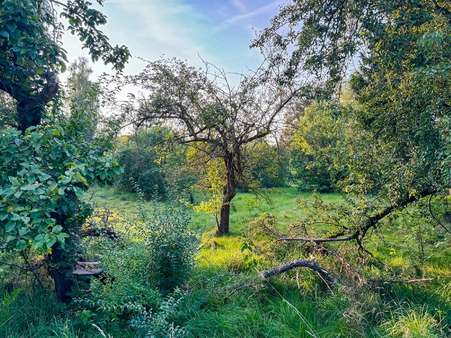 Platz zum Grasen Platz zum Grasen - Grundstück in 02736 Oppach mit 3251m² kaufen