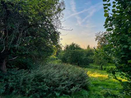 Platz zum Grasen (2) - Grundstück in 02736 Oppach mit 3251m² kaufen