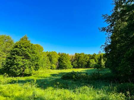 Ihre Wiese im Wald (1) - Bauernhaus in 01844 Neustadt mit 150m² kaufen