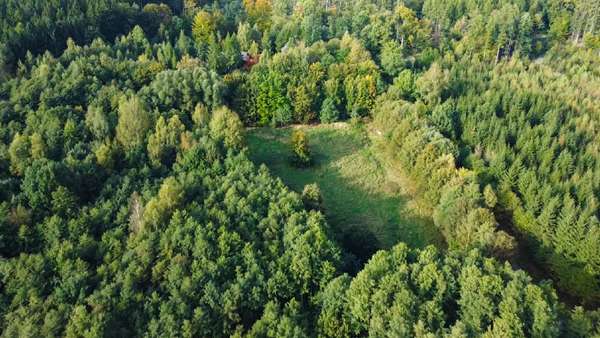 Ihre Wiese im Wald (2) - Bauernhaus in 01844 Neustadt mit 150m² kaufen