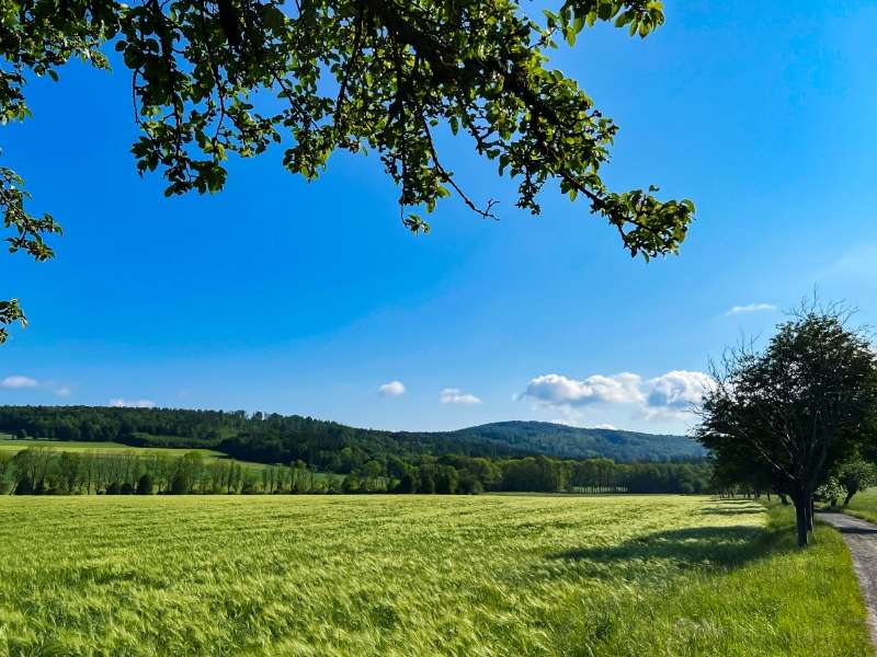 Herzlich Willkommen! - Bauernhaus in 01844 Neustadt mit 150m² kaufen