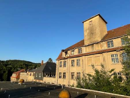 Blick vom Hallendach auf die Häuserzeile - Mehrfamilienhaus in 01855 Sebnitz mit 1336m² kaufen