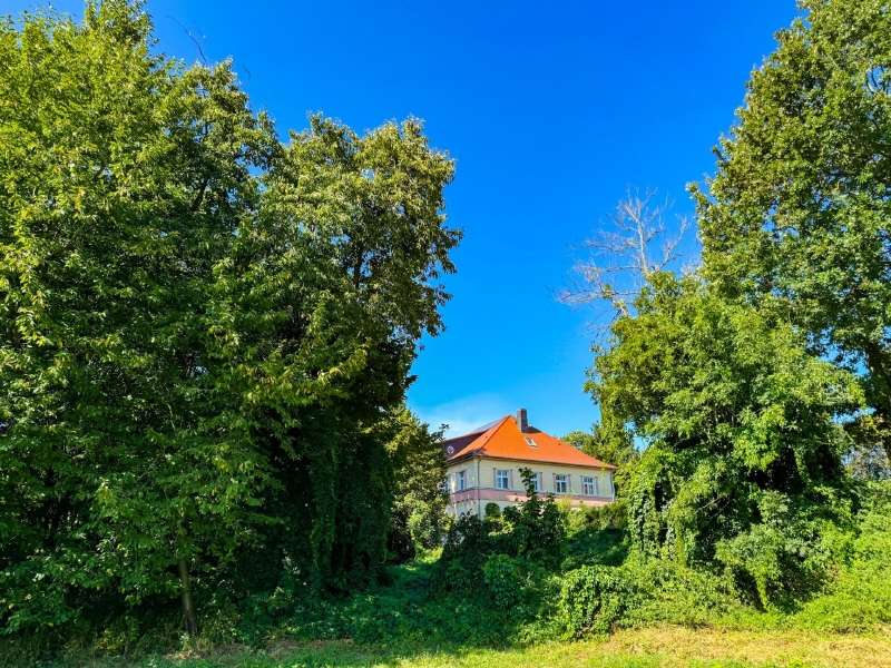 Herzlich Willkommen! - Villa in 01877 Bischofswerda mit 315m² kaufen