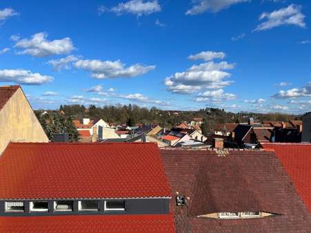 Blick aus MFH nach Osten - Mehrfamilienhaus in 01917 Kamenz mit 408m² kaufen