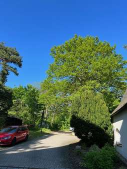 Angekommen Angekommen - Grundstück in 01129 Dresden mit 2168m² kaufen