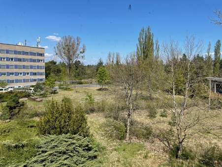 Blick vom Bestandsgebäude nach Nordosten - Grundstück in 02977 Hoyerswerda mit 11402m² kaufen