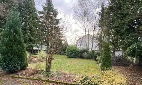 Projektiertes Baugrundstück