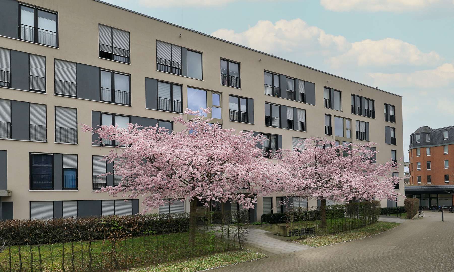 Außenansicht Außenansicht - Etagenwohnung in 50735 Köln mit 95m² kaufen