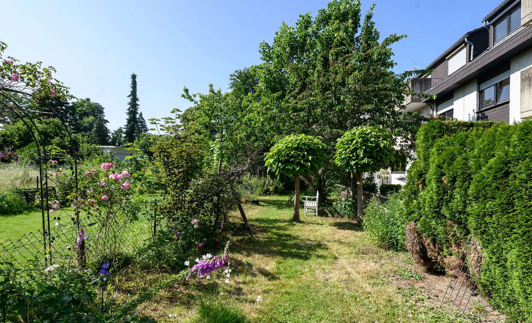 Garten - Reihenendhaus in 51069 Köln mit 167m² kaufen