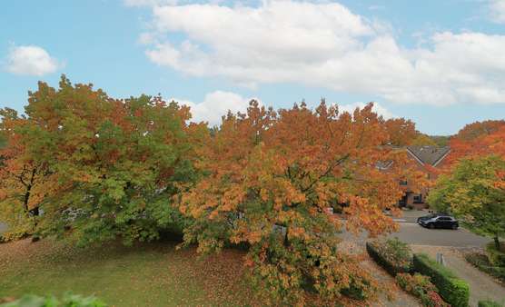 Ausblick - Etagenwohnung in 47239 Duisburg / Rumeln-Kaldenhausen mit 86m² kaufen