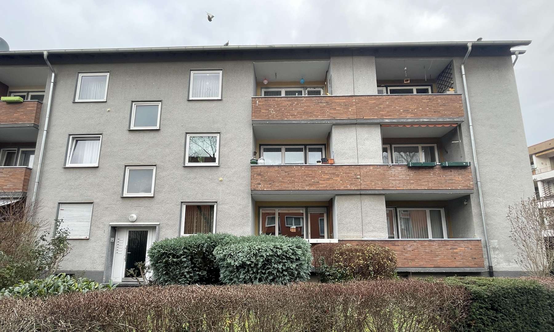 Vorderansicht - Erdgeschosswohnung in 51067 Köln mit 69m² kaufen