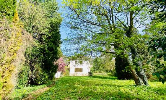 Garten - Einfamilienhaus in 53179 Bonn - Mehlem mit 191m² kaufen