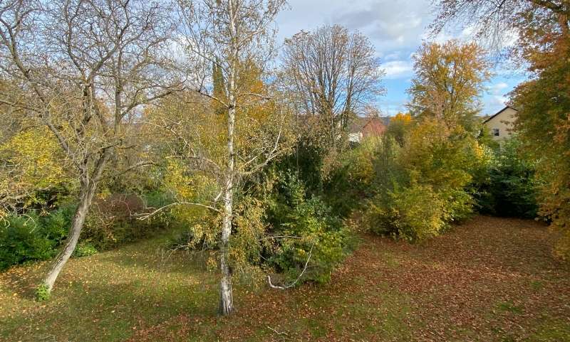 Blick in den Garten