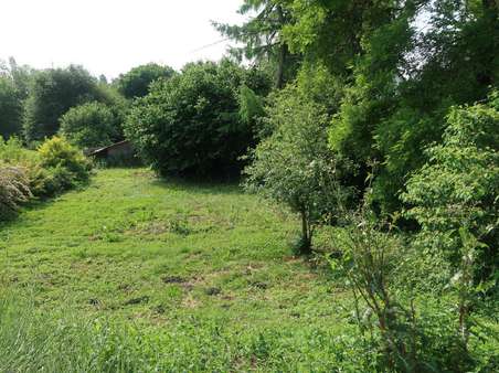 Ausblick in den Garten bzw. das Nachbargrundstück Ausblick in den Garten bzw. das Nachbargrundstück - Zweifamilienhaus in 88339 Bad Waldsee mit 280m² kaufen
