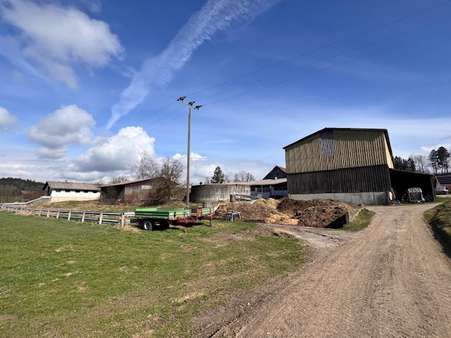 Bild3 Bild3 - Viehwirtschaft in 88299 Leutkirch im Allgäu mit 0m² kaufen