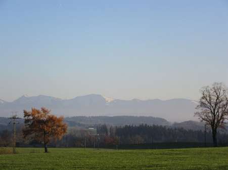 Aussicht im Herbst - Einfamilienhaus in 88239 Wangen im Allgäu mit 172m² kaufen