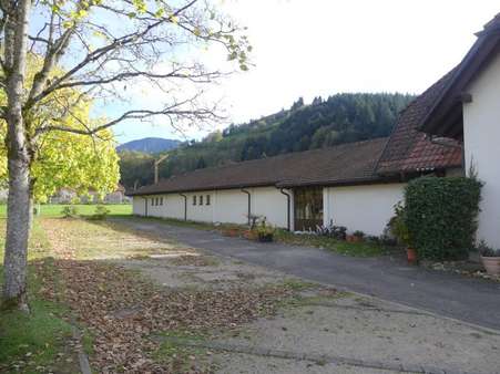 Stellplätze - Wohn- / Geschäftshaus in 79244 Münstertal/Schwarzwald mit 217m² günstig kaufen