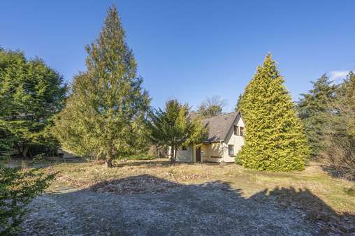 Grundstück  - Grundstück in 21244 Buchholz mit 585m² kaufen