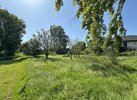 Baugrundstück - Natur & Elbe