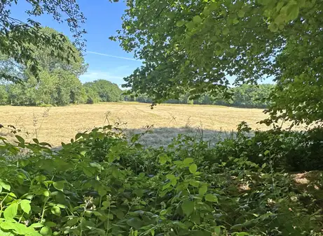 Zuhause an der Pferdeweide