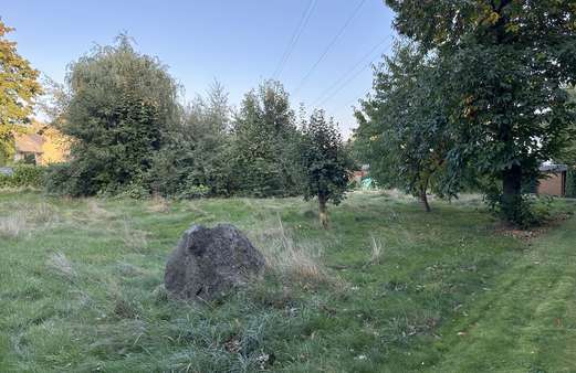 Grundstück Grundstück - Grundstück in 21493 Schwarzenbek mit 962m² kaufen