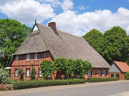 Straßenansicht - Einfamilienhaus in 21483 Wangelau mit 171m² kaufen