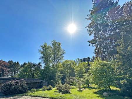 Grundstück - Grundstück in 21244 Buchholz mit 1971m² kaufen