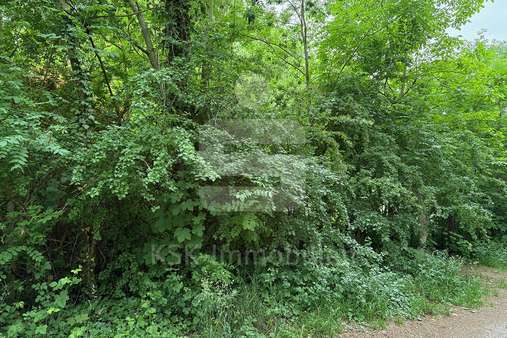 Grundstück - Grundstück in 50374 Erftstadt / Lechenich mit 1542m² kaufen