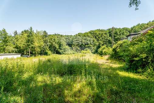 Blick in den Wald Blick in den Wald - Grundstück in 53229 Bonn / Holzlar mit 675m² kaufen
