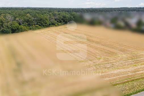 Drohnenansicht - Grundstück in 53913 Swisttal mit 6951m² kaufen