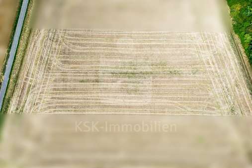Drohnenansicht - Grundstück in 53913 Swisttal mit 6951m² kaufen