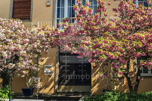 Außenaufnahme - Doppelhaushälfte in 50931 Köln mit 219m² kaufen