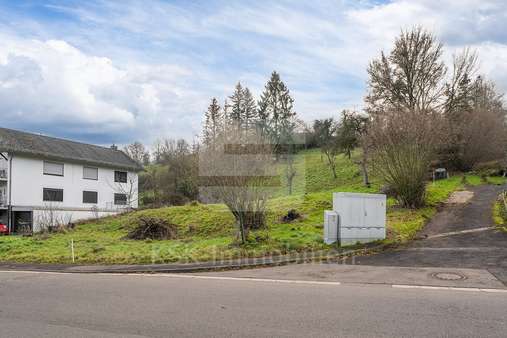 Grundstück - Grundstück in 53947 Nettersheim / Holzmülheim mit 3236m² kaufen