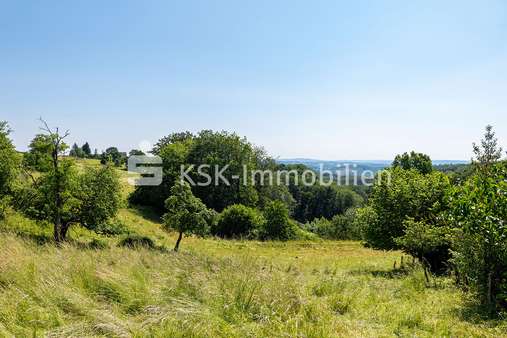 114061 Grundstück  - Grundstück in 51597 Morsbach mit 2000m² kaufen