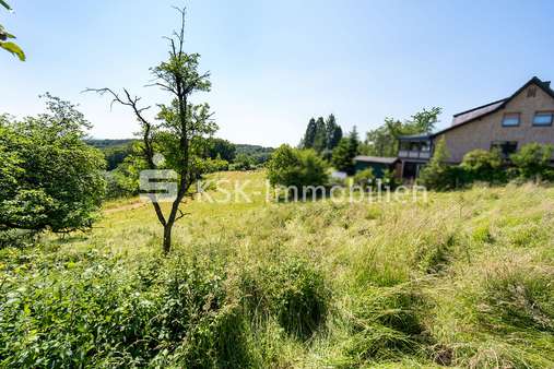 114061 Grundstück - Grundstück in 51597 Morsbach mit 2000m² kaufen