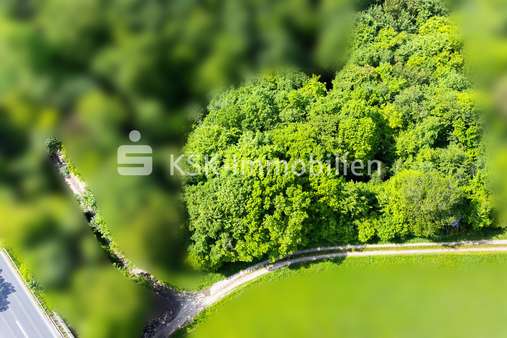 132932 Waldstück Flurstück 76 - Grundstück in 51570 Windeck / Rosbach mit 6841m² kaufen
