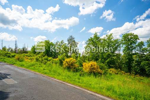 132937 Waldfläche - Grundstück in 51570 Windeck / Rosbach mit 1810m² kaufen