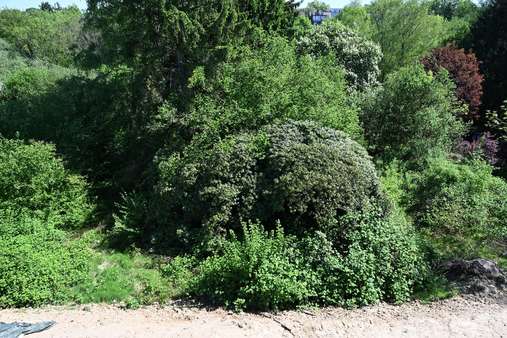 Garten vor der Terrasse - Erdgeschosswohnung in 44795 Bochum mit 82m² kaufen