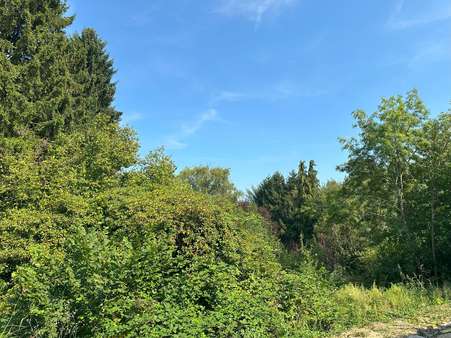 Ausblick WE 3 Ausblick WE 3 - Erdgeschosswohnung in 44795 Bochum mit 62m² kaufen