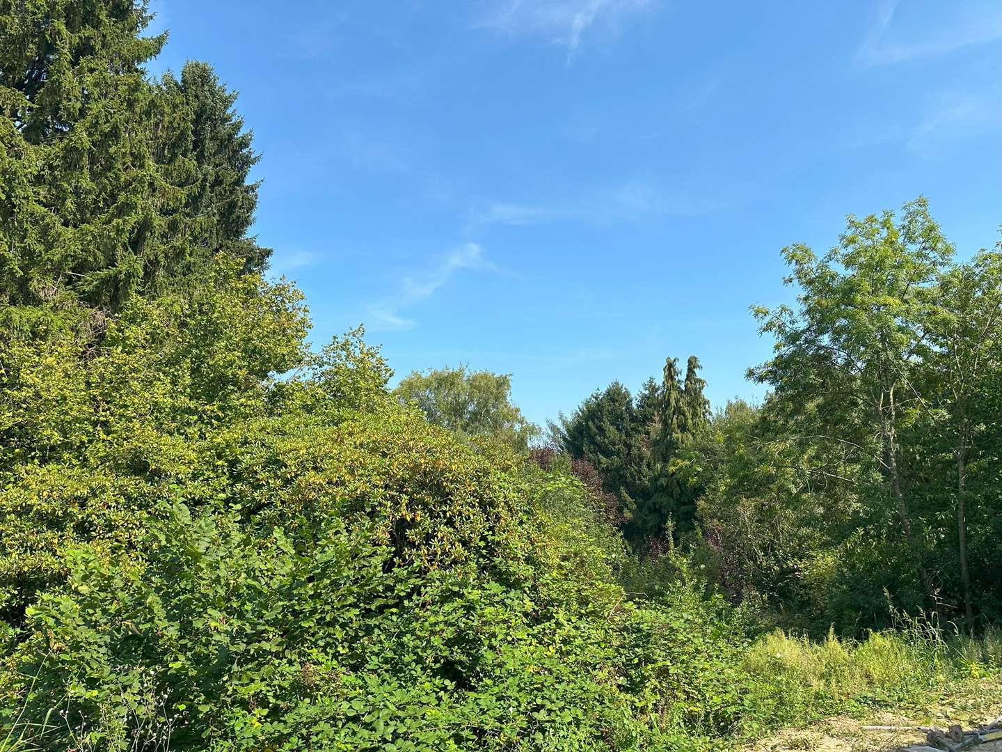 Ihr Ausblick von der Terrasse - Erdgeschosswohnung in 44795 Bochum mit 62m² kaufen