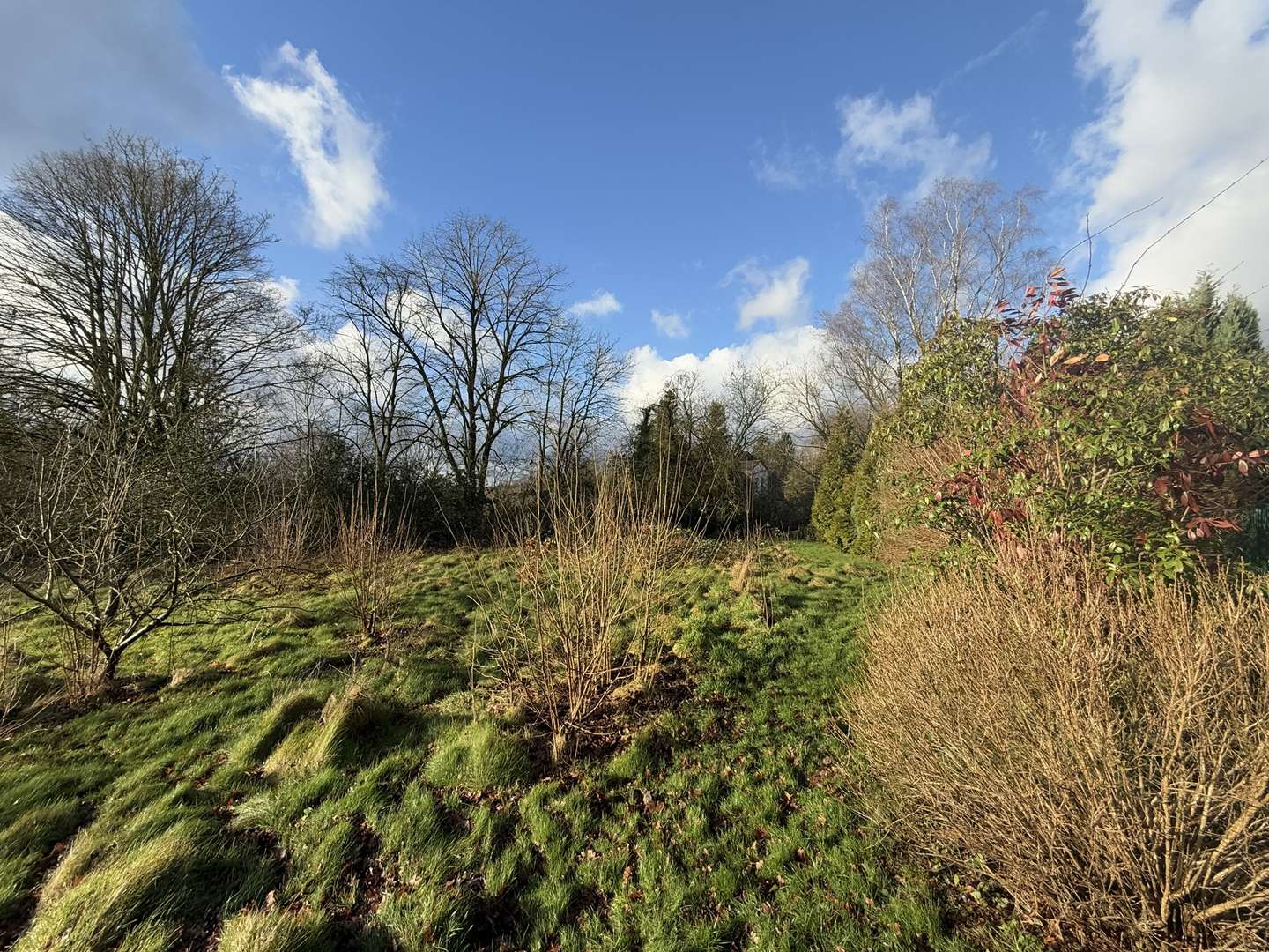 Ansicht Grundstück - Grundstück in 44879 Bochum mit 1790m² kaufen