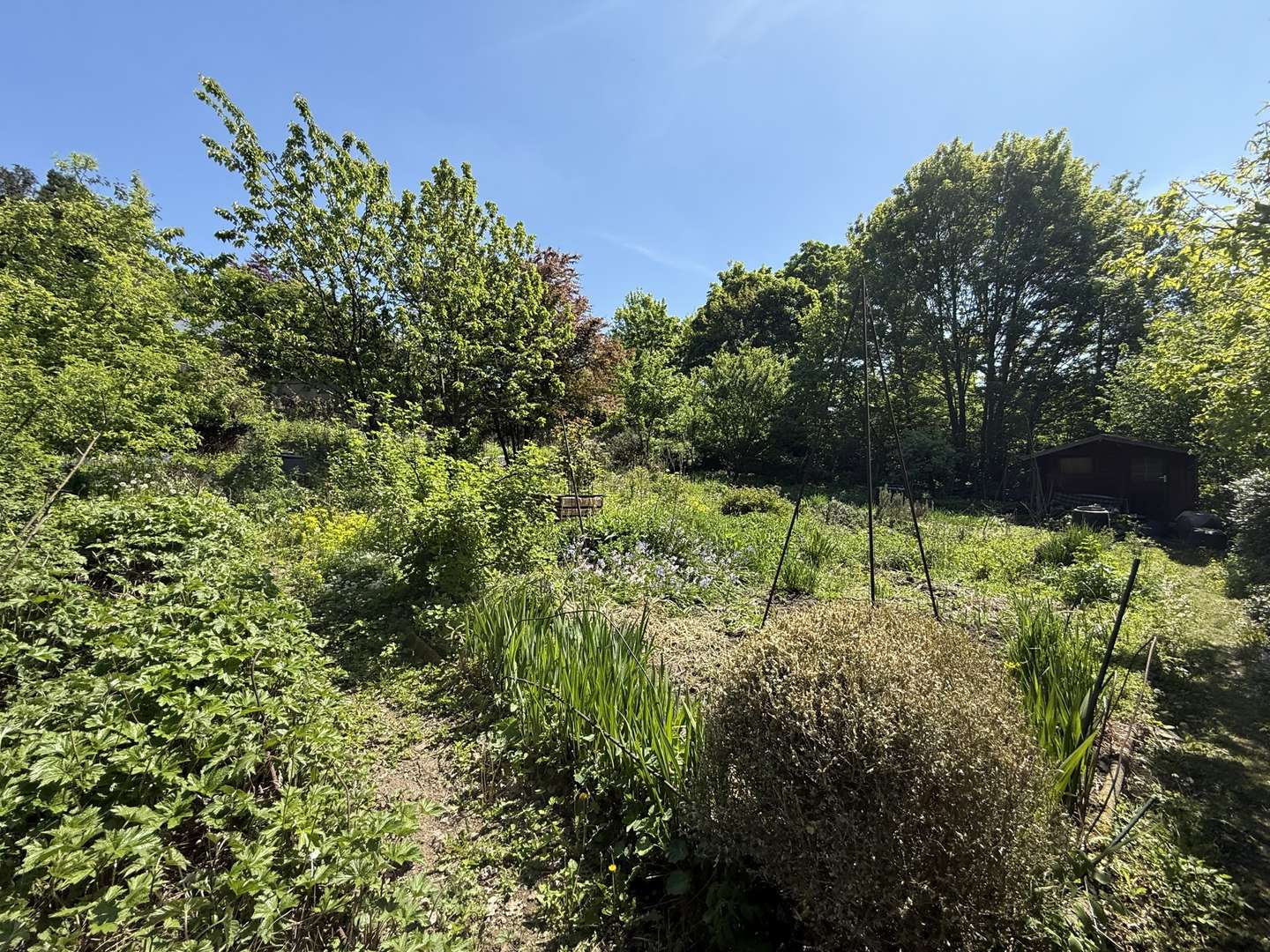 Ansicht Grundstück  - Grundstück in 44879 Bochum mit 2302m² kaufen