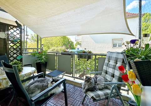 Balkon - Erdgeschosswohnung in 44879 Bochum mit 58m² als Kapitalanlage kaufen