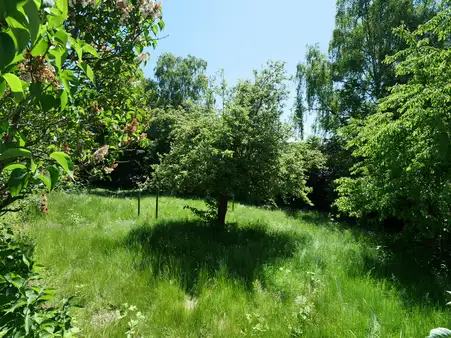 Bauen leicht gemacht in guter Lage 
von Riemke