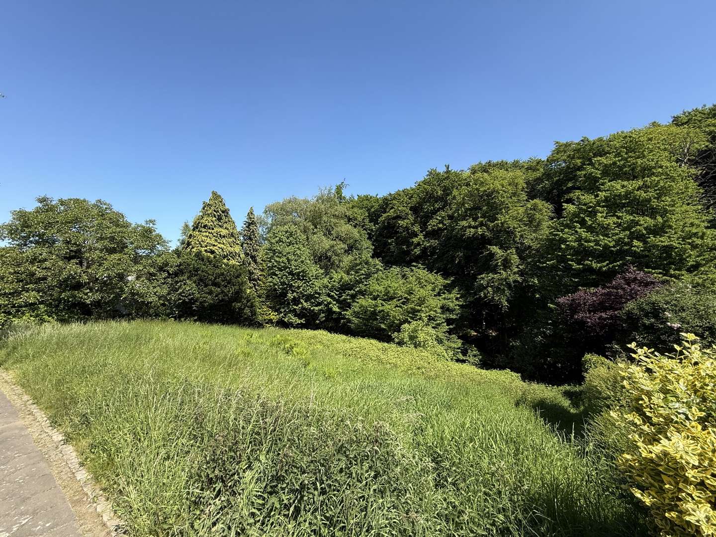 Ansicht Ansicht - Grundstück in 44879 Bochum mit 1315m² kaufen