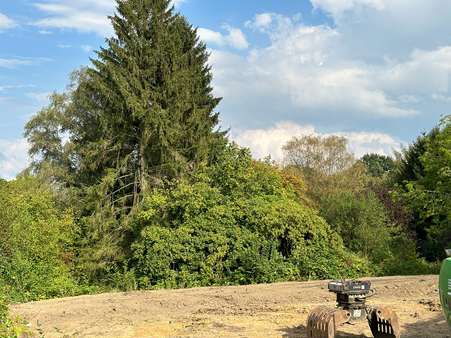 Ausblick ins Grüne - Etagenwohnung in 44795 Bochum mit 106m² kaufen