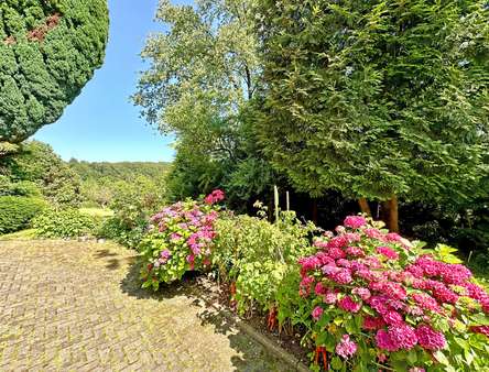 Terrasse - Mehrfamilienhaus in 44797 Bochum mit 330m² kaufen